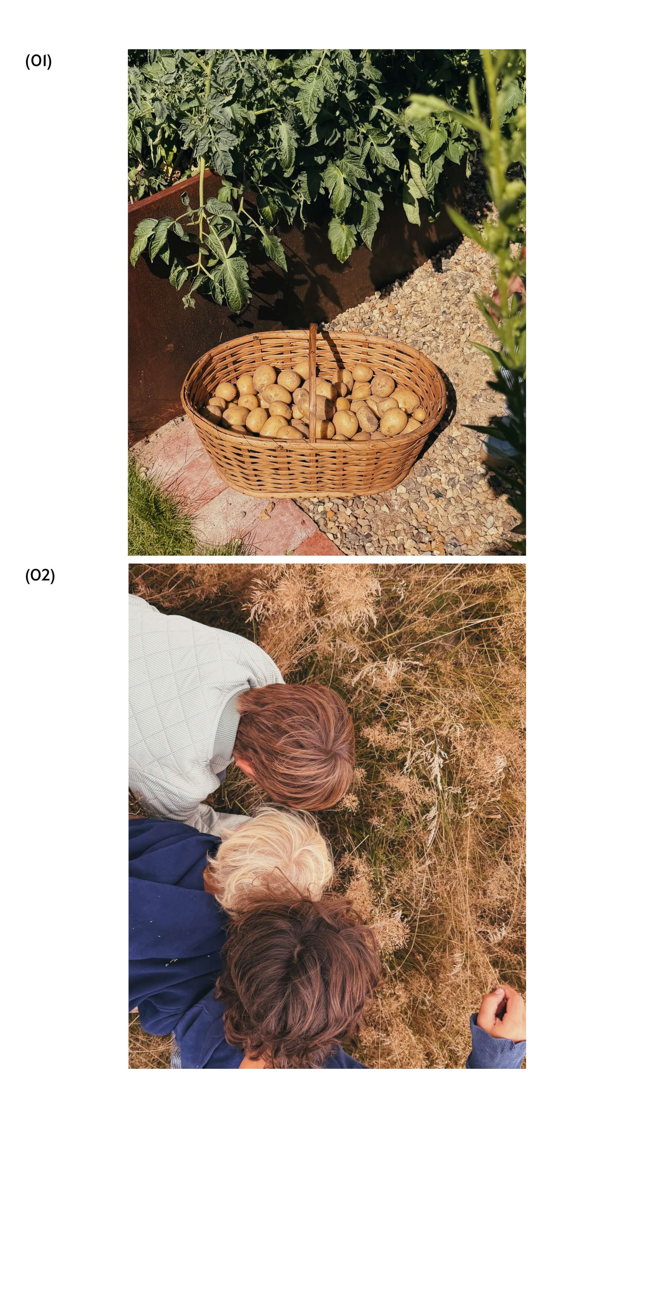 04 Living Narratives | Anastasia