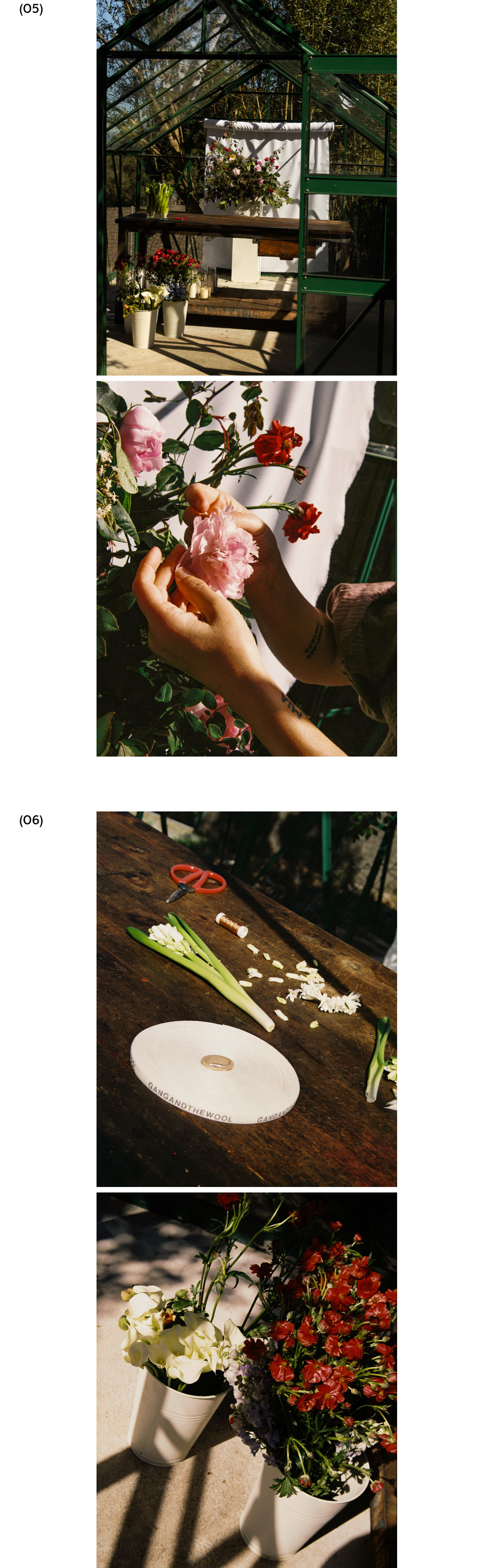 06 Living Narratives | Gang And The Wool