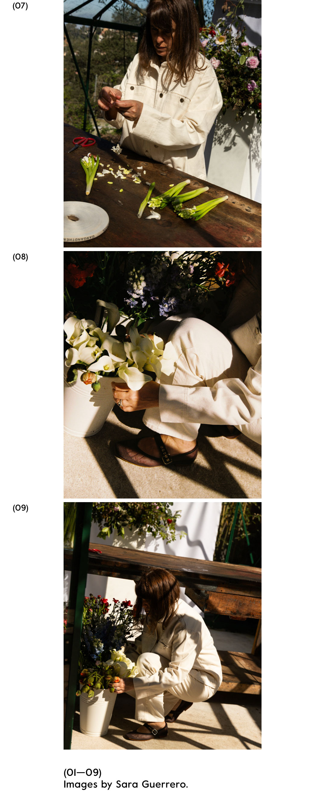 08 Living Narratives | Gang And The Wool