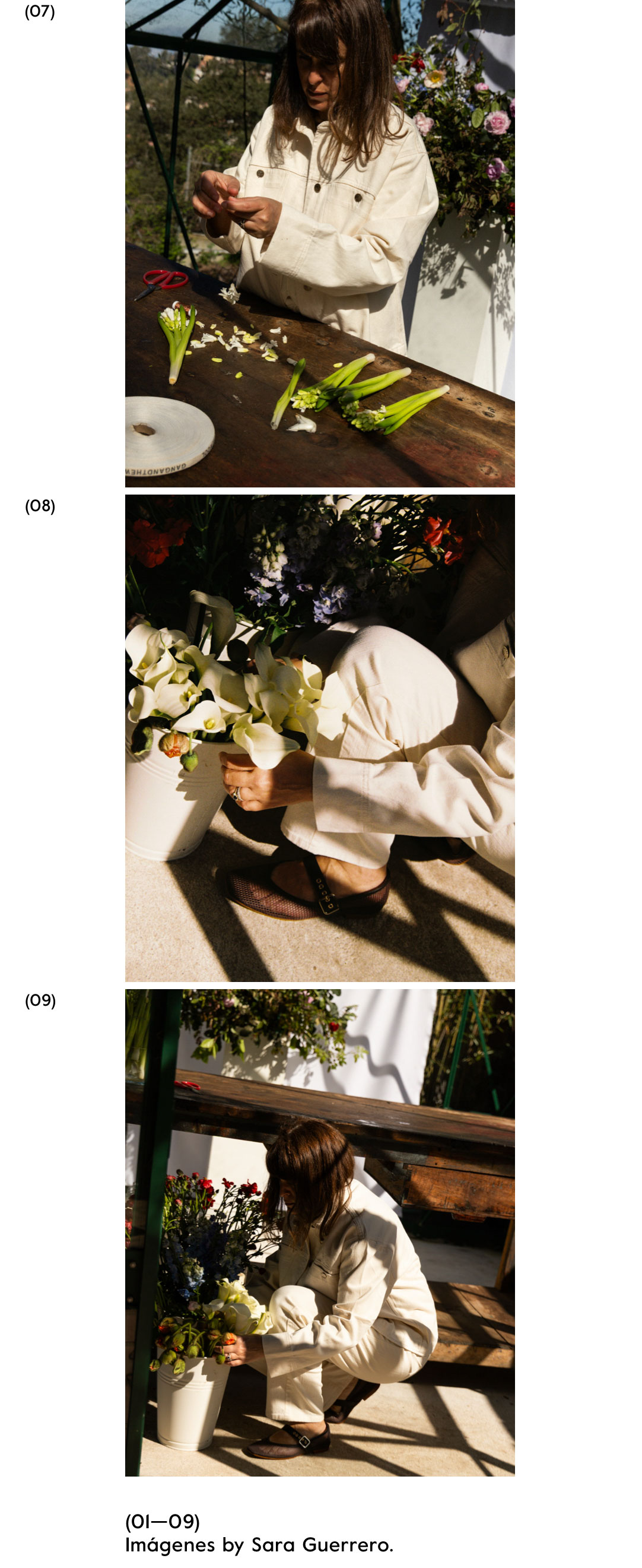 08Living Narratives | Gang And The Wool