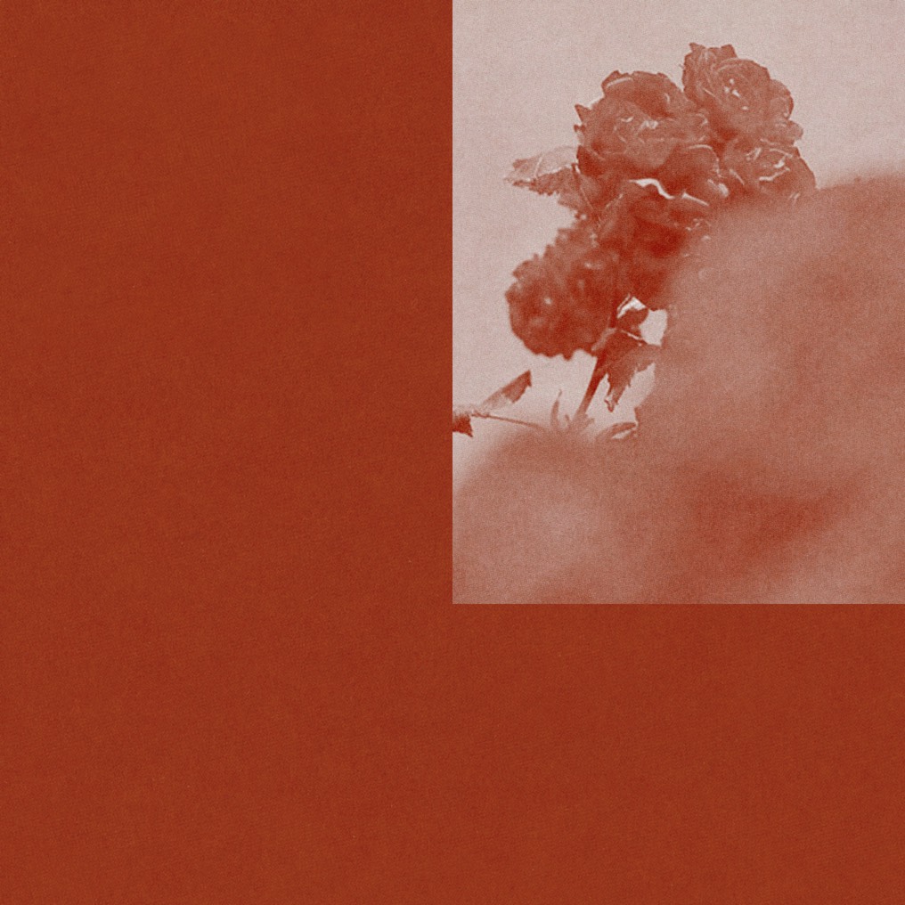 Luisa Ricart | About Love