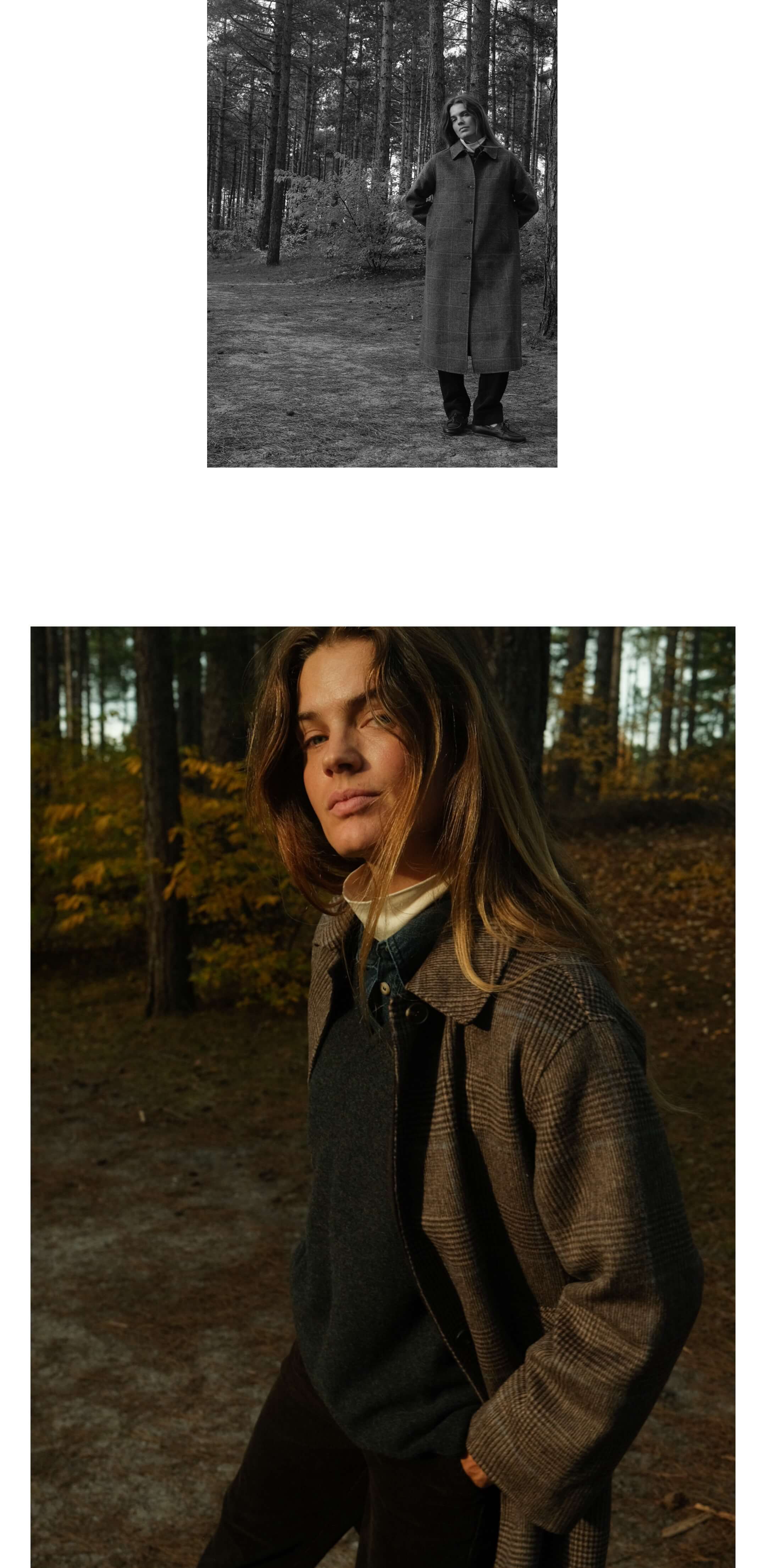 11 Winter Reverie | AW2526