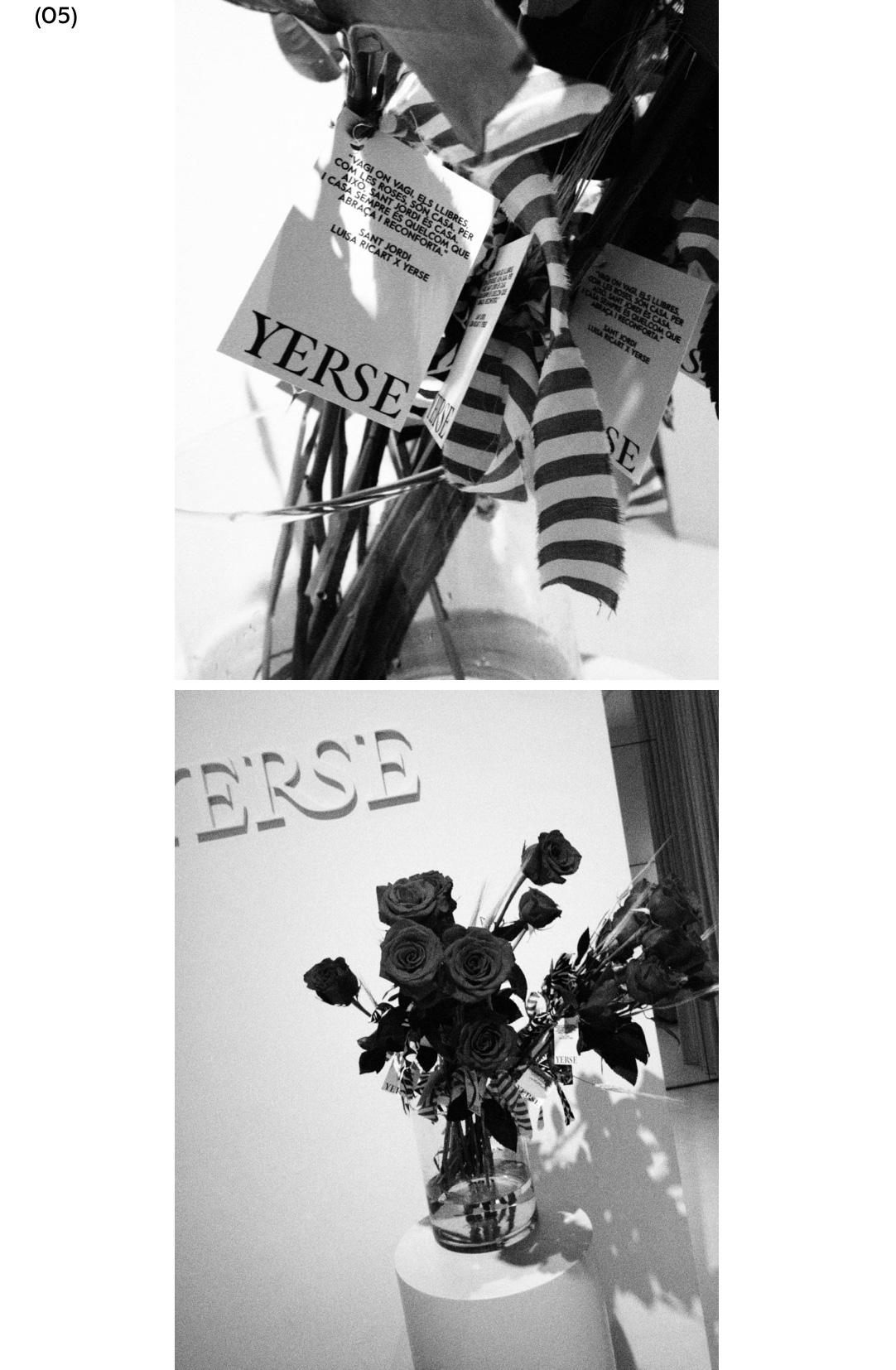05 Sant Jordi | YERSE x EDITORIAL ALMA