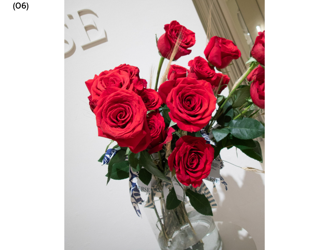 06 Sant Jordi | YERSE x EDITORIAL ALMA