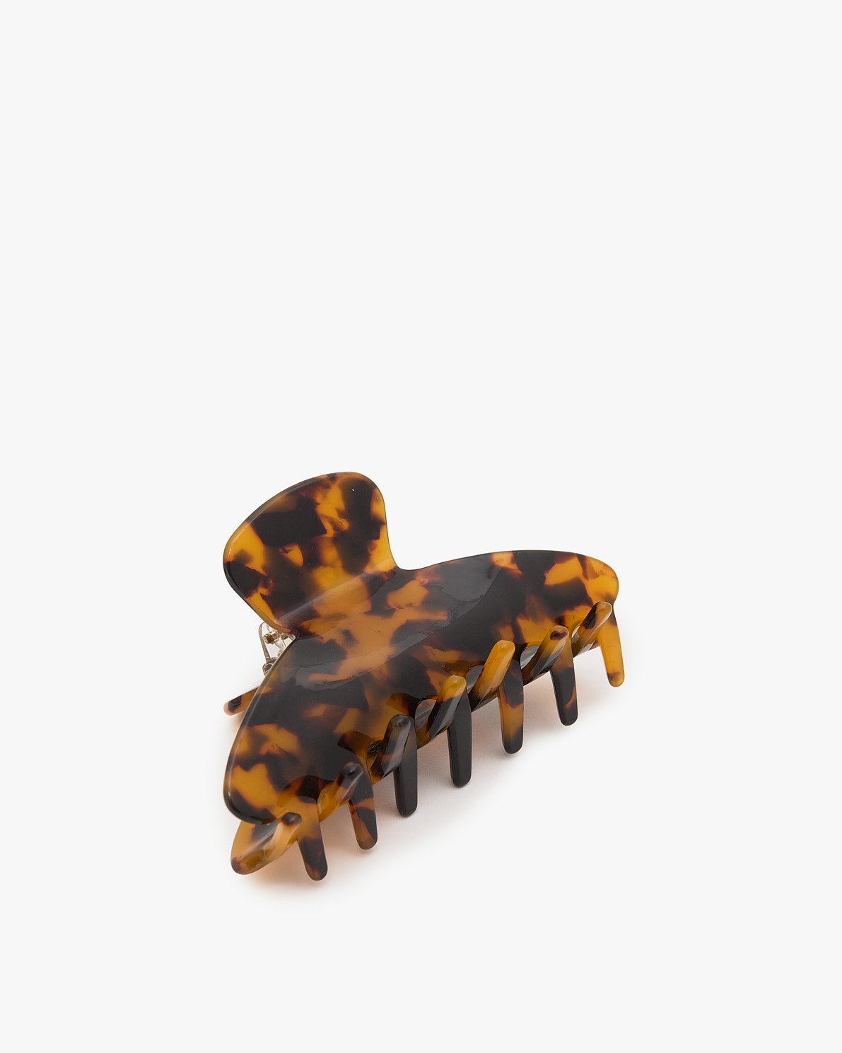 PINÇA MITJANA CAREI